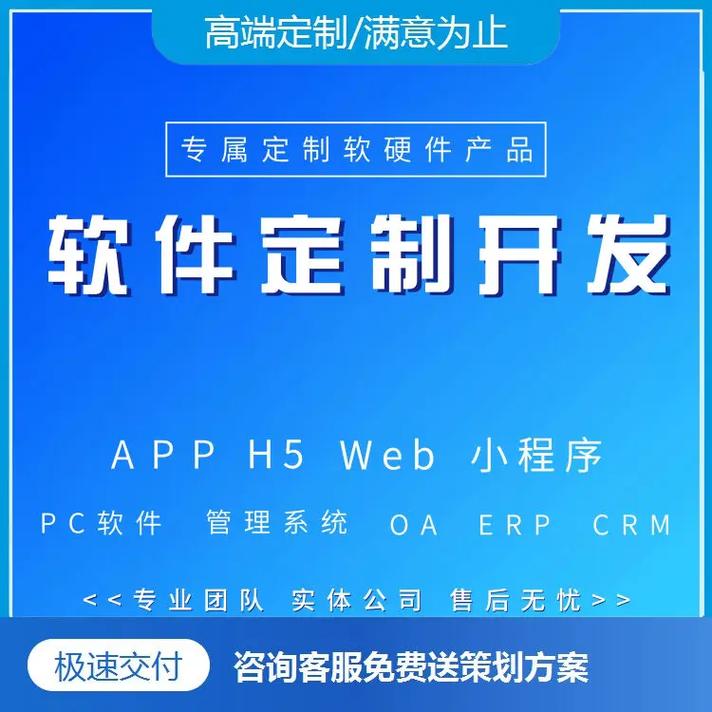 重庆软件外包服务 定制开发领域的专业之选